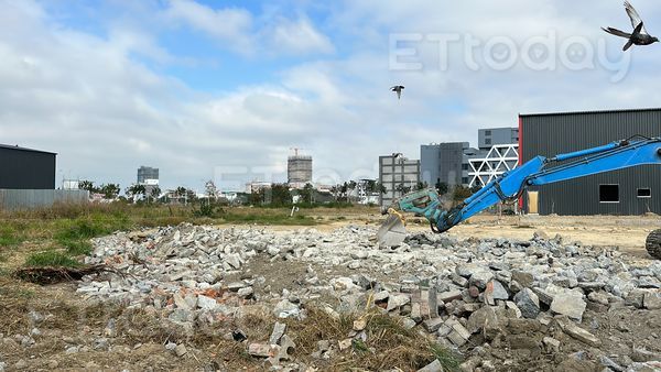 ▲▼獨／主人把地租掉...上百鴿子沒窩留原地　台中這條路變「鴿屍路」。（圖／記者許權毅攝）