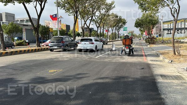 ▲▼獨／主人把地租掉...上百鴿子沒窩留原地　台中這條路變「鴿屍路」。（圖／記者許權毅攝）