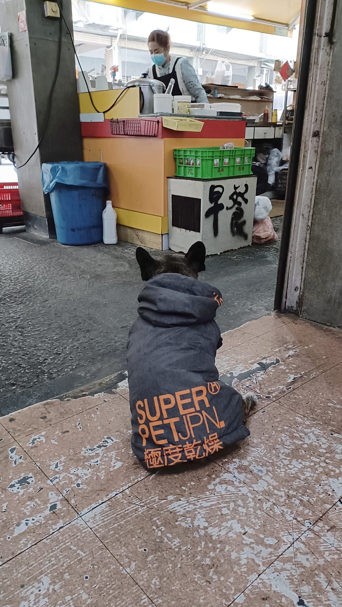 ▲小黑狗穿著Superdry外套。（圖／翻攝自臉書／路上觀察學院）