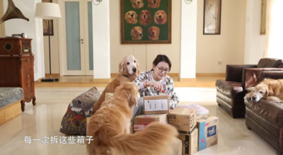 周海媚愛犬想媽媽！聽到「去很遠地方」眼睛泛淚　靈性反應惹鼻酸