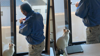 窗戶師傅一人工作！屋主卻聽見愉快聊天聲　一看竟是「在向貓講解」瞬間笑了