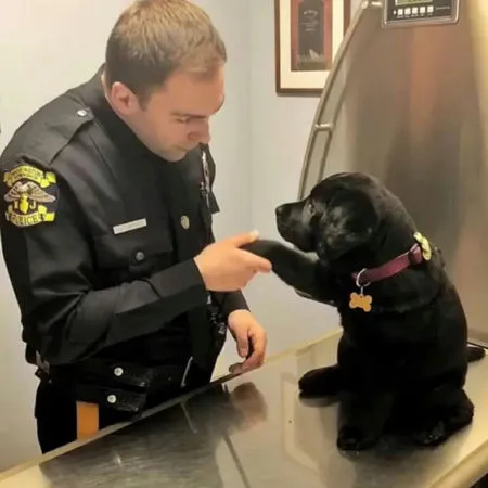 小警犬與警員。（圖／翻攝自微博）