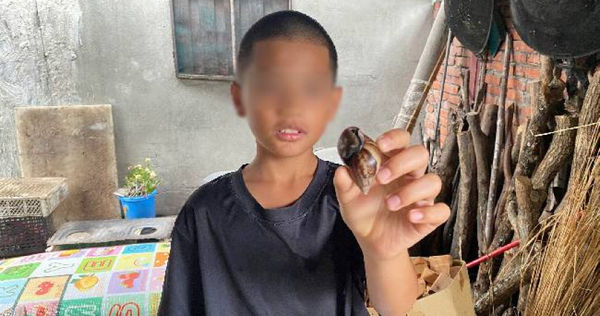 10歲男童阿超（化名）課餘時撿蝸牛，轉賣後賺取微薄收入，只為存錢幫阿公治病。（圖／中國信託慈善基金會提供）
