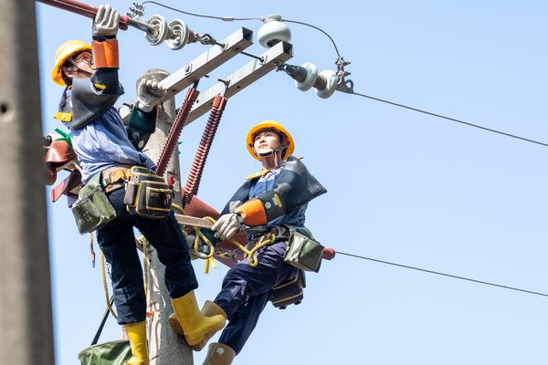 ▲台電2024年招考1103名僱用人員，其中配電線路維護類429名為名額最多的類別。（圖／台電）