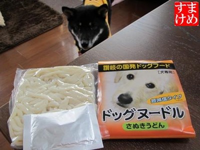 日本人愛麵成痴，連狗也有專屬烏龍麵