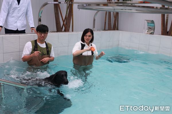 ▲左楠區立委候選人李眉蓁到動物醫院，陪搜救犬健檢跟水療             。（圖／記者吳奕靖翻攝）