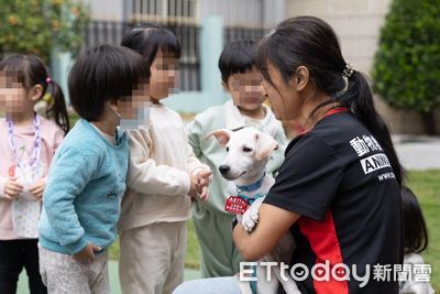 用生命影響生命！受虐浪浪成「最萌狗助教」　走入校園與幼兒互動