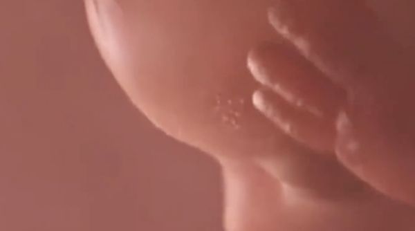 ▲廣州幸孕星醫療機構被踢爆「賣卵代孕」黑色產業鏈。（圖／翻攝七環視頻）