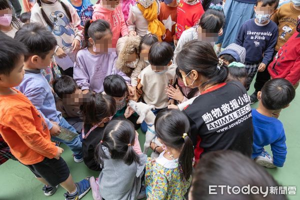 ▲▼用生命影響生命！受虐浪浪成「最萌狗助教」　走入校園與幼兒互動。（圖／台灣動物緊急救援小組提供）