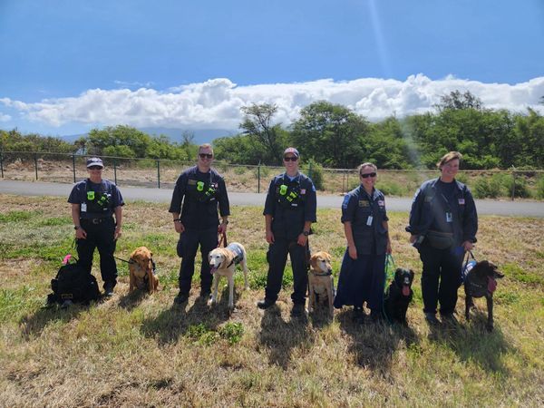 ▲警犬隊成員分別有3隻人類遺骸探測犬、2隻現場搜救犬。（圖／翻攝自Facebook／Washington State Task Force）