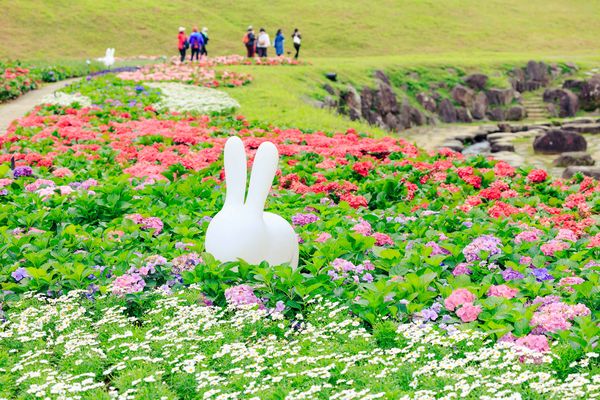 ▲內湖「大溝溪生態治水園區」首次以近萬盆繡球花、近5千盆草花打造出愛心花海。（圖／北市水利處提供）