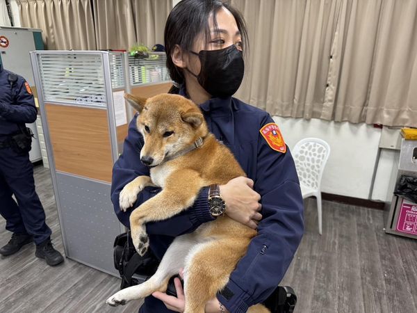 ▲小柴犬迷路被送到派出所　聽見熟悉聲音「大喊金金」秒興奮討抱抱。（圖／翻攝自Facebook／基隆警馨雲）