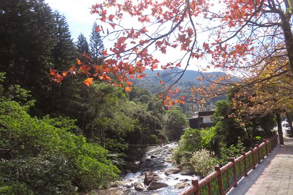 ▲至善路三段楓紅染山溪、山頭。（圖／公園處提供）