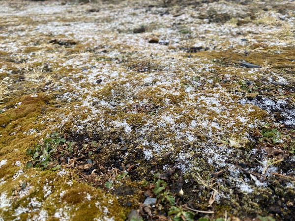 ▲▼玉山北峰下雪。（圖／中央氣象署）