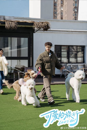 ▲朱正廷愛犬「五百萬」去世。（圖／翻攝自《可愛的旅行》微博）