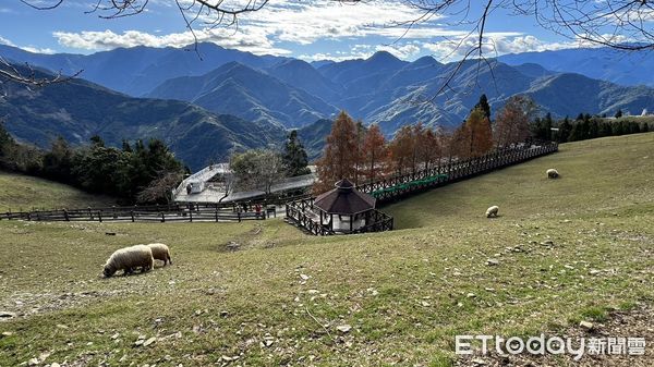 ▲清境農場連日湧入大批跨年連假旅遊人潮。（圖／記者高堂堯攝）