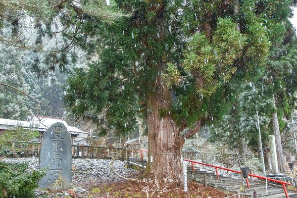 ▲▼位在秋田仙北市的「田澤湖」，可說是所有人來秋田旅行的必訪景點。（圖／部落客周花花甲飽沒授權提供，下同，勿擅自翻攝）