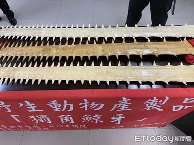 開15萬高價面交「鯊魚劍」!竟是一級瀕絕海洋保育類 賣家慘了
