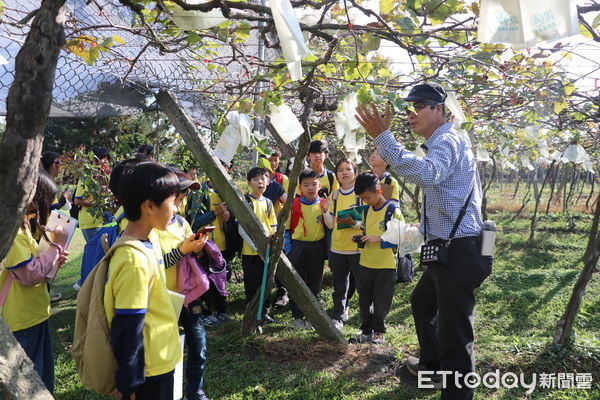 ▲南大附小彩虹斑馬團隊特地赴彰化大村及二林進行葡萄主題戶外教育，體驗葡萄產業知識，也更了解永續環境議題。（圖／記者林東良翻攝，下同）