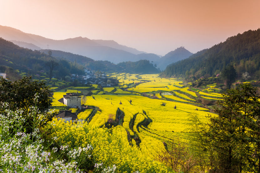 ▲▼鳳凰旅遊,金獎,旅遊品質,國際金旅獎,江西,江南水鄉,廬山。（圖／▼鳳凰旅遊提供）