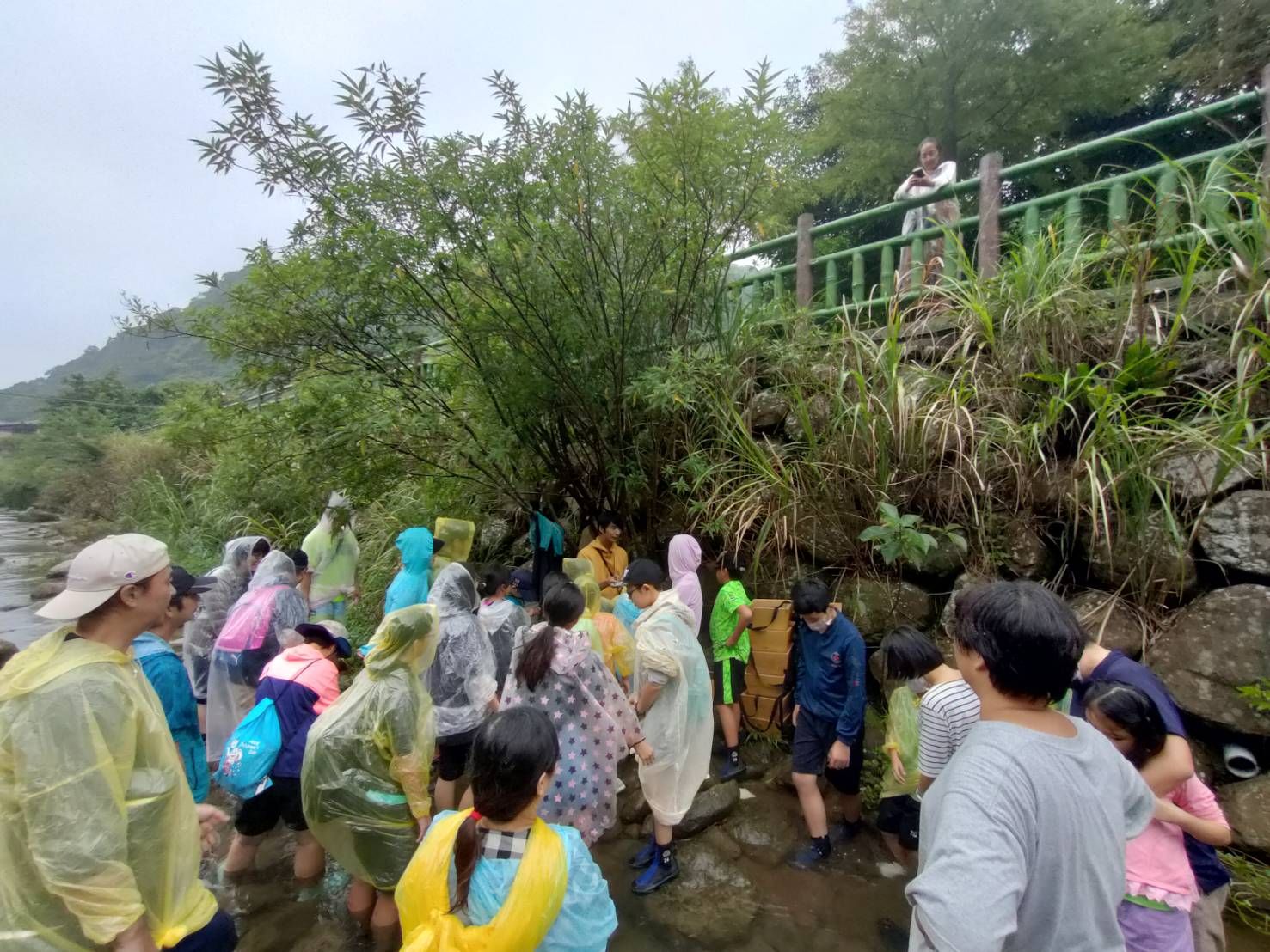 ▲坡地金育獎新北勇奪4獎。（圖／新北市農業局提供）