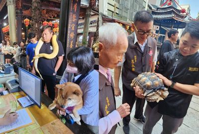 全台最佛寺廟！寵物點平安燈「贈主人光明燈」　烏龜、蛇也來祈福