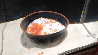 創意超地獄！日本水族館展示鮭魚寶寶「竟放在一碗白飯上」　網笑：都看餓了