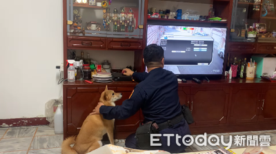警察來訪忙調監視器　熱情柴犬用頭狂蹭：快摸我不要停！