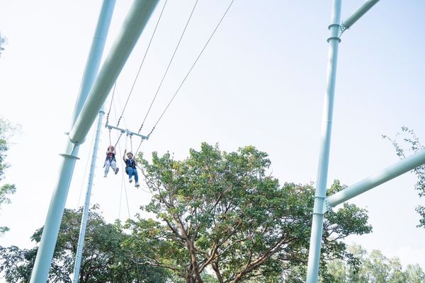 ▲「咩咩上樹萌寵樂園」有笑笑羊、水豚君、袋鼠等，還能玩高空冒險。（圖／嘉義縣政府提供）