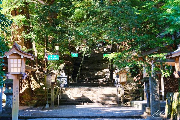 ▲▼來到高千穗，除了高千穗峽之外，高千穗神社當然也是重要景點之一。（圖／部落客飛天璇的口袋授權提供，下同，勿擅自翻攝）