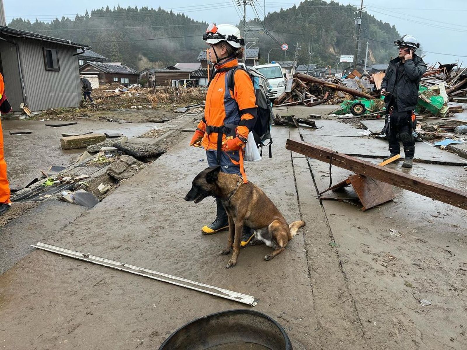 【日本石川強震】搜救犬隊「發現小黑貓」成功救援　帶回基地曬超萌照片