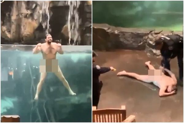 ▲▼美國阿拉巴馬州男子歐文斯（George Owens）裸體跳進水族館魚池。（圖／翻攝自X／@DanGraham135R）