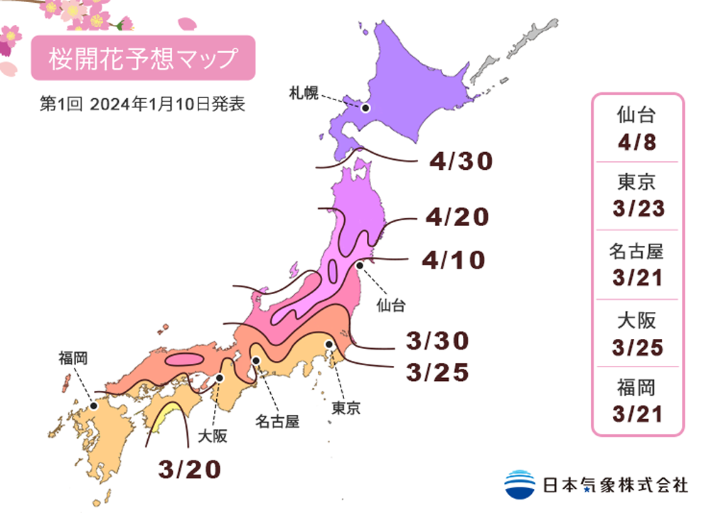 2024日本櫻花預測。（圖／翻攝「日本氣象株式會社」網站）