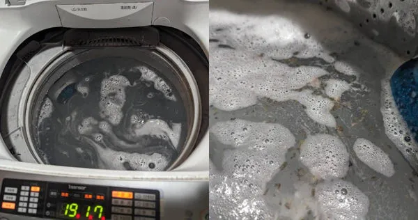 女子清洗租屋處的洗衣機，竟洗出一大桶「海帶湯」。（圖／Facebook／我愛全聯-好物老實説）