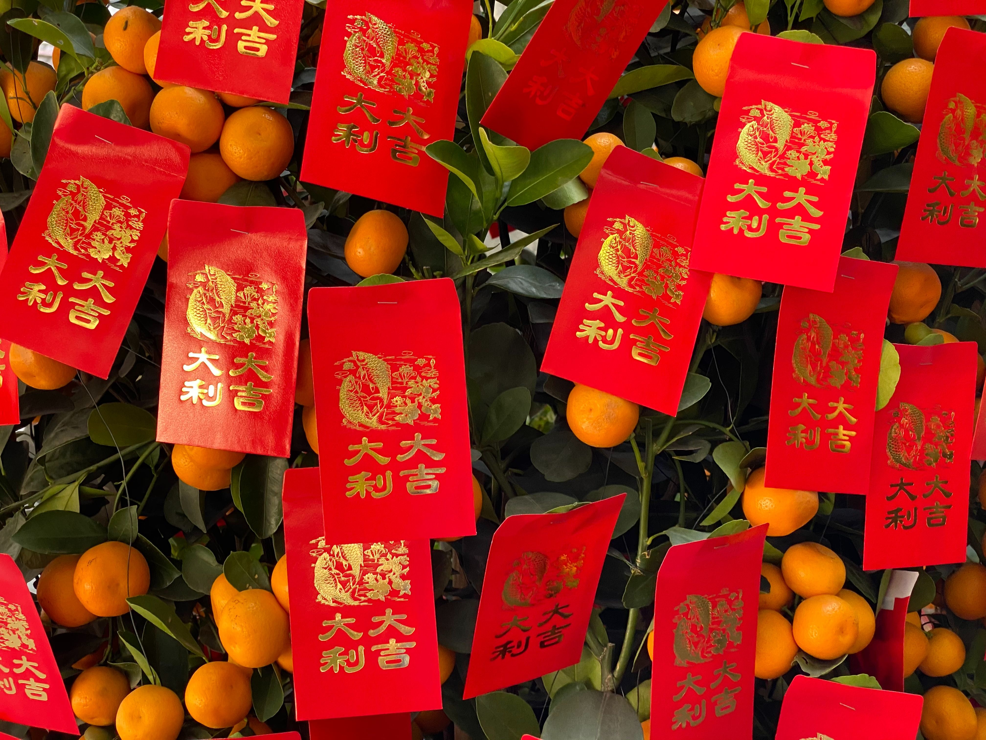 ▲春節,過年,農曆年,CNY。（圖／unsplash）