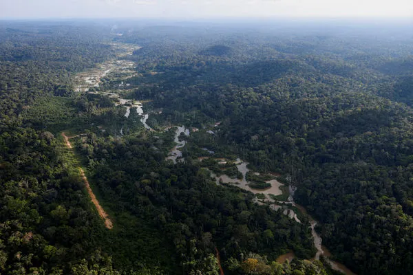 ▲▼巴西亞馬遜森林、亞馬遜叢林、巴西烏魯帕迪國家森林公園（Urupadi National Forest）。（圖／路透）