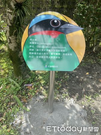 ▲▼蓮霧園平台建置完成，提供民眾更舒適健行休憩空間。（圖／花蓮縣政府提供，下同）