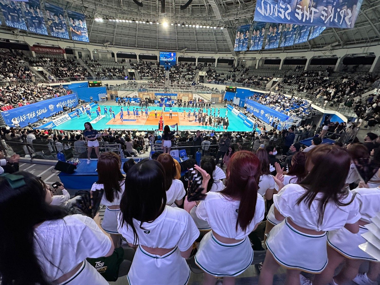 ▲成員們今日前往學姐最強外掛安芝儇的所屬球隊首爾友利卡蜜蜂賽場上實習。（圖／台鋼雄鷹提供）