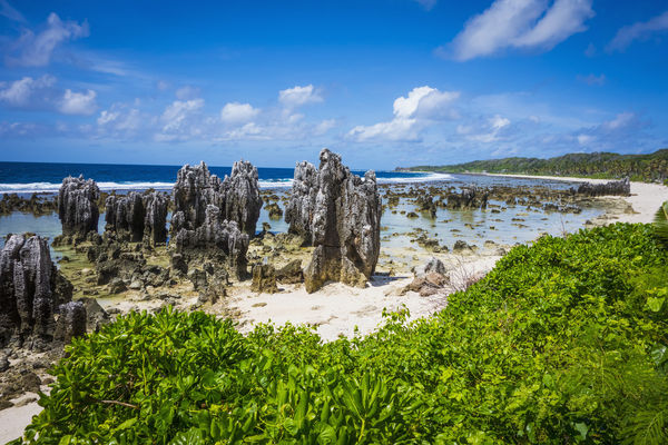 ▲▼太平洋島國諾魯（Nauru）的岩岸。（圖／達志影像／newscom）