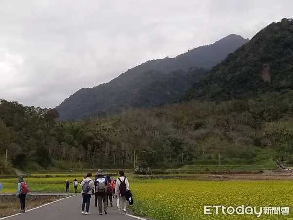 ▲▼浪遊隊伍以3天時間，徒步從台東池上出發，經豐南、羅山抵達東里火車站。（圖／千里步道協會提供提供，下同）