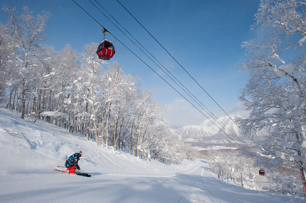 [新聞] 又有台人赴日滑雪喪命！41歲男「衝出雪道