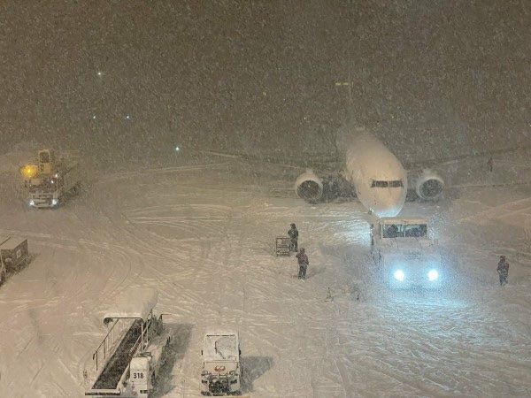 ▲▼北海道新千歲機場發生國泰航空與大韓航空飛機相撞事故。（圖／翻攝自X）