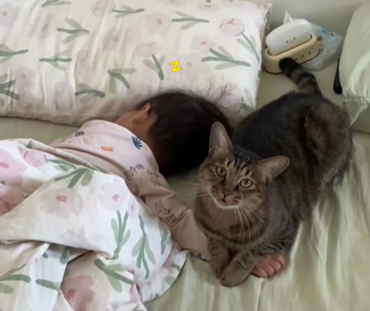 貓咪叫寶寶起床。（圖／翻攝自小紅書@奶油小點心）