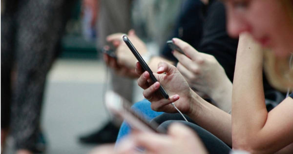 詐騙手法再升級！專發可愛動物、迷因的帳號，竟是詐騙集團灑下的網！（示意圖／翻攝自unsplash）