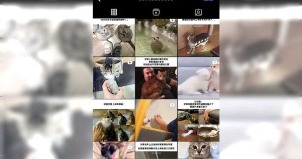 IG迷因抽獎活動真相曝光！網友分享經歷呼籲：退追遠離詐騙。（圖／翻攝自Dcard）