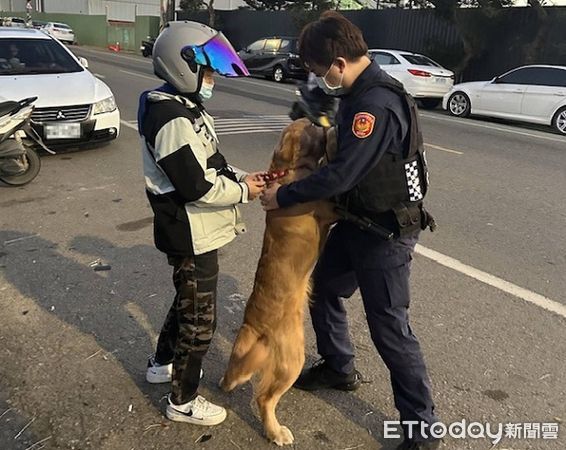 ▲▼狗狗一見員警竟撲上「抱」警處理。（圖／大園警分局提供）