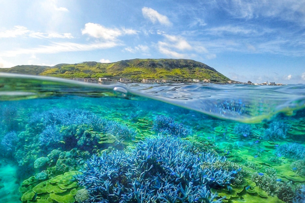 ▲2024澎湖國際海上花火節將於5月2日登場,南方四島海底下紫色薰衣草森林。（圖／易遊網提供）