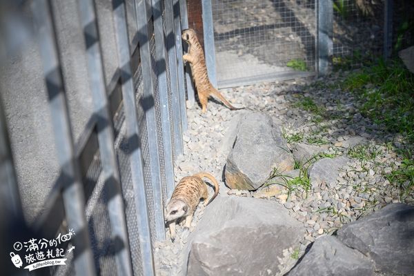 ▲▼礁溪 回巢。（圖／滿分的旅遊札記提供） 