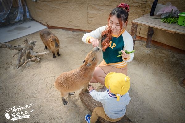 ▲▼礁溪 回巢。（圖／滿分的旅遊札記提供） 