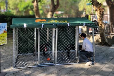 世界愛犬聯盟捐贈20組「移動式犬舍」　助新北動保提升收容效能